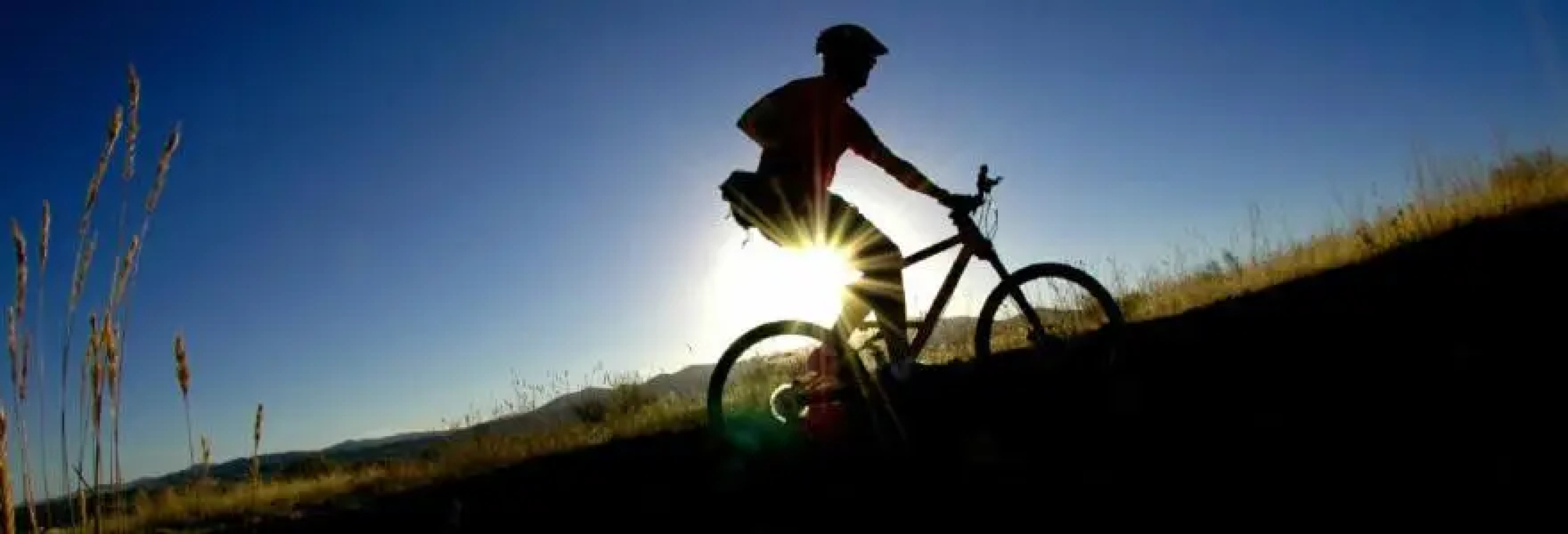 Gasthof Holländer Eck