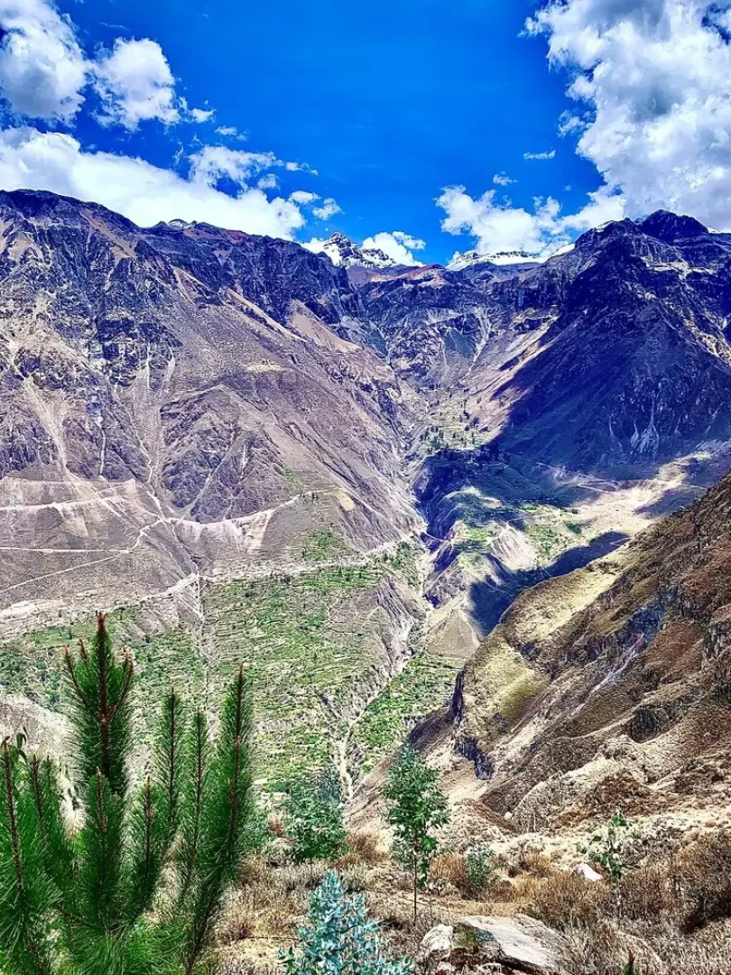 Arum Qurpawasi Hospedaje