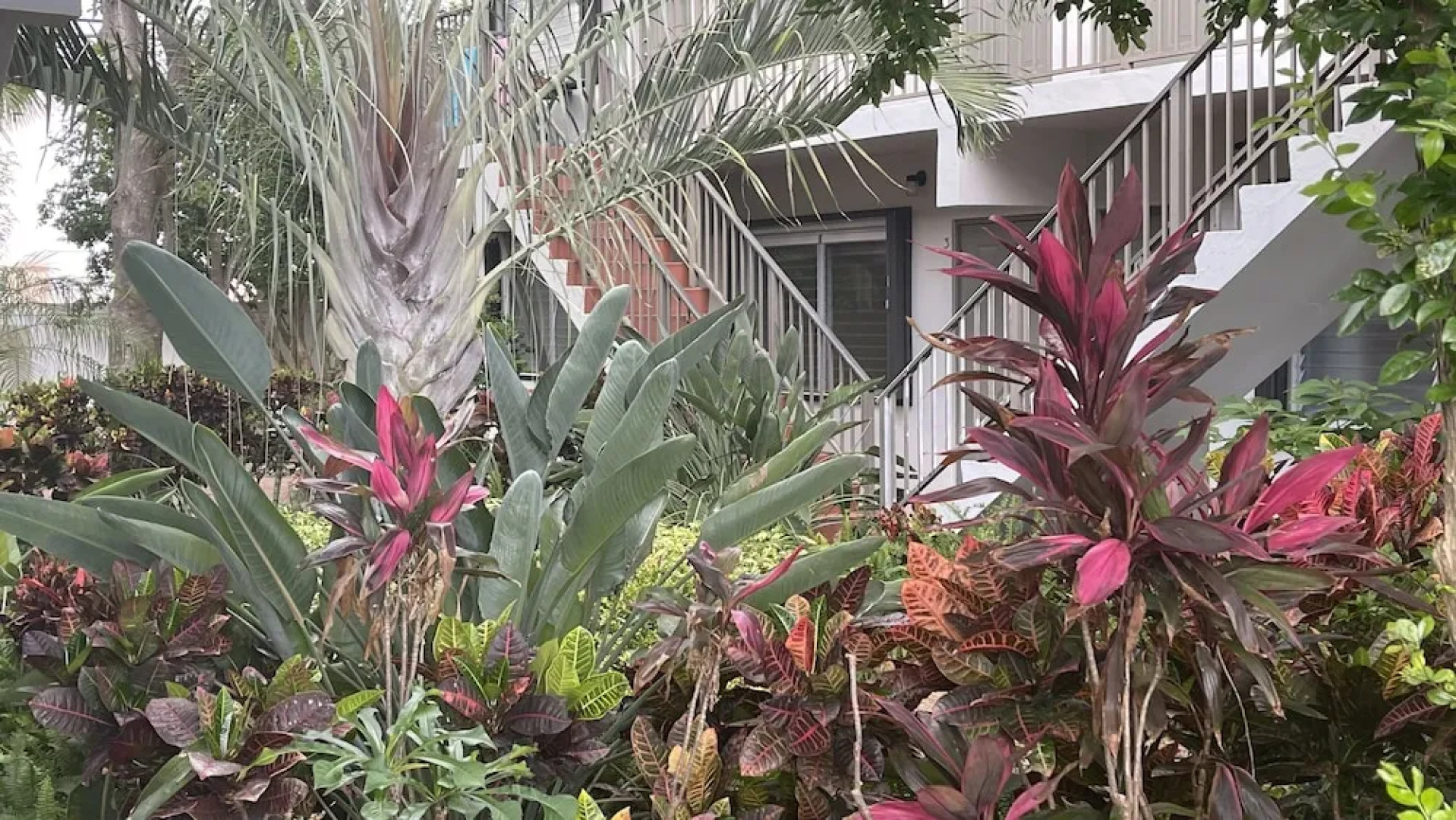 Petrina Studio Apartment