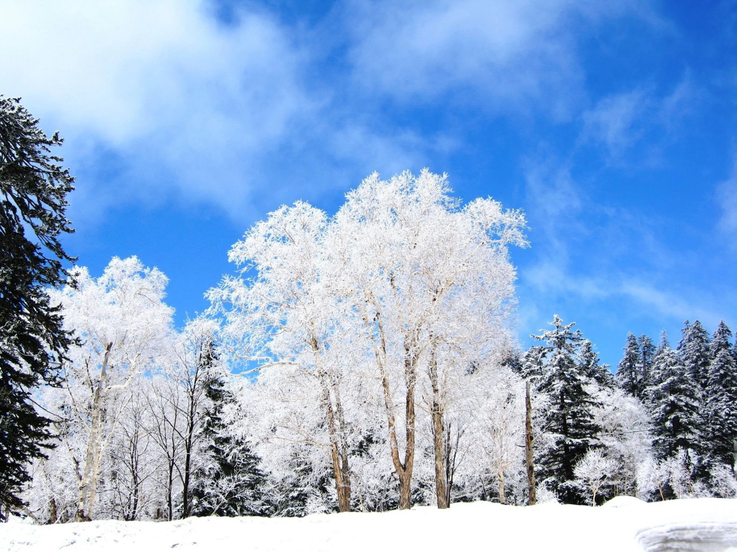 Asahidake Onsen Hotel Deer Valley
