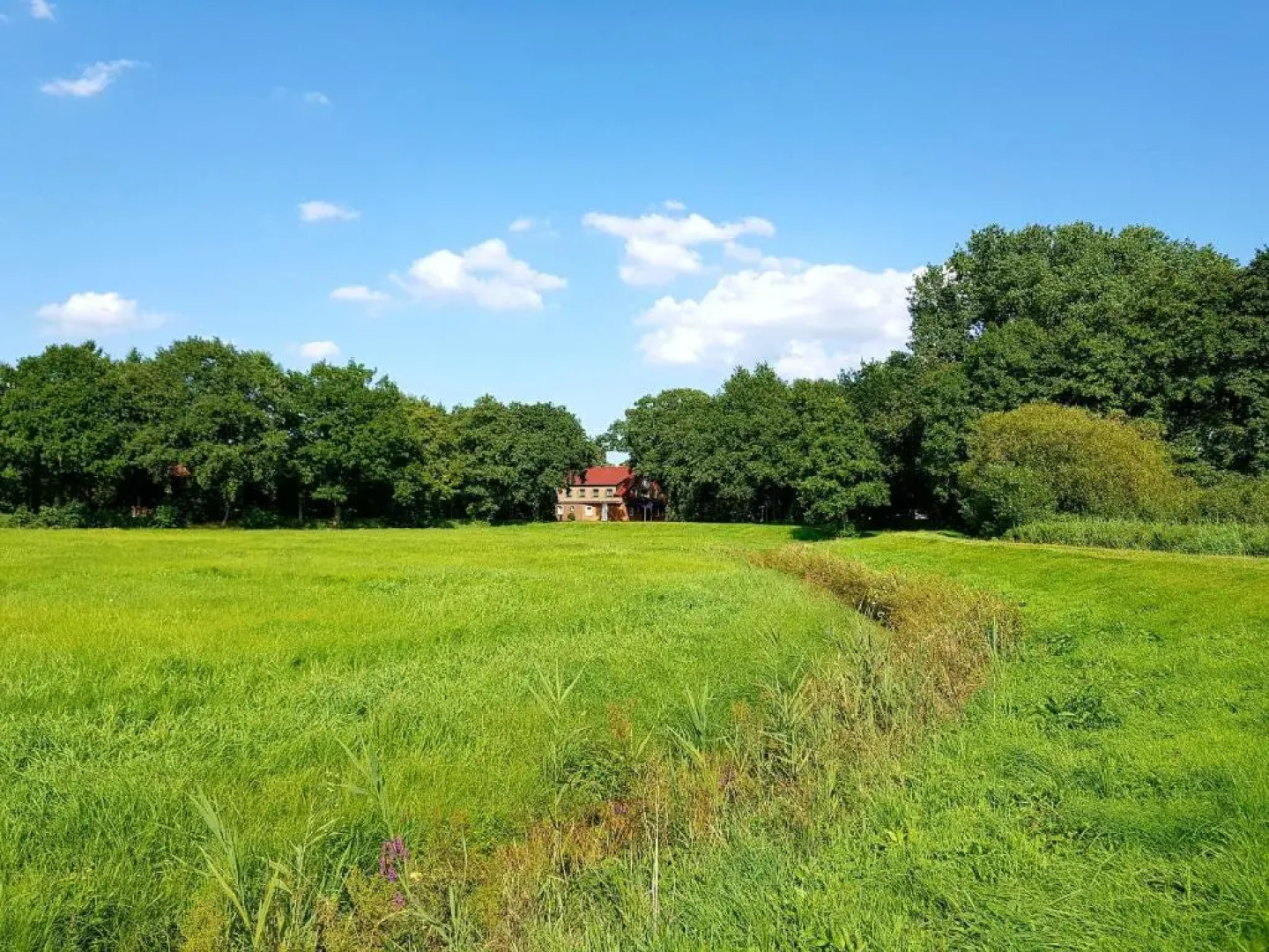 Apartments by Gasthof Bucksande
