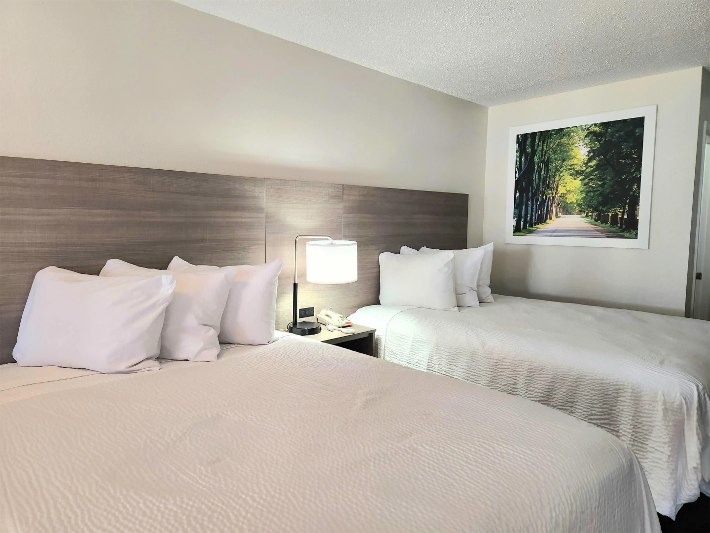 Days Inn by Wyndham San Marcos