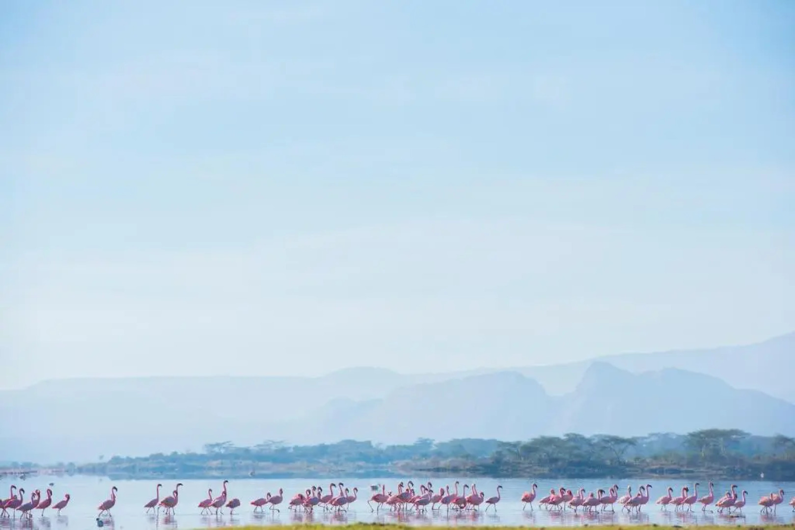 Mbweha Camp Lake Nakuru