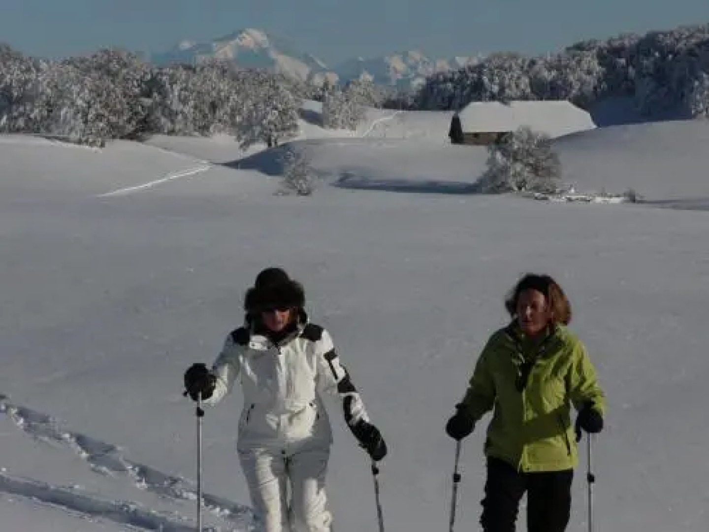 Chambres & Gites les Pelaz