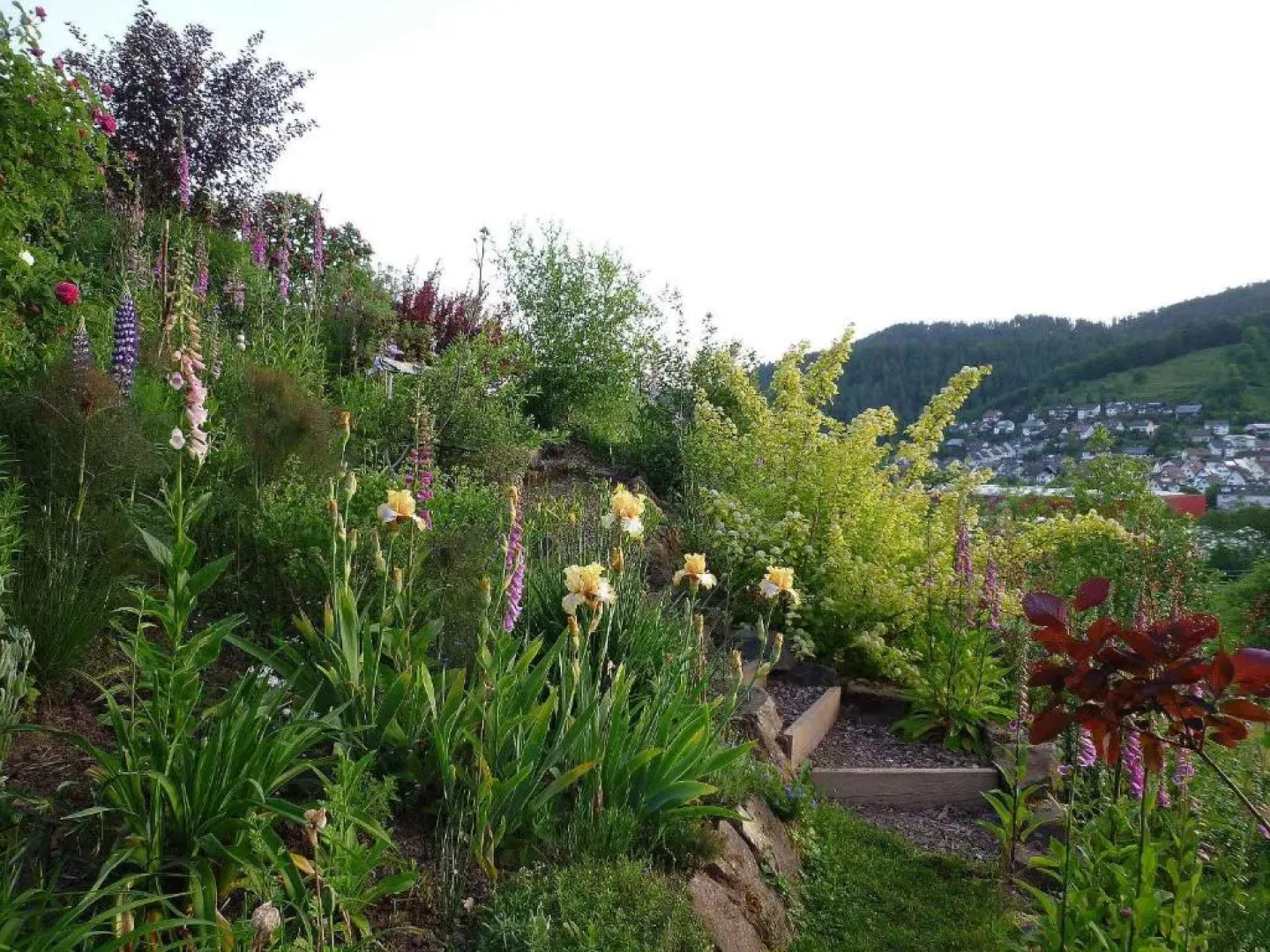 Ferienwohnung Hügelgarten