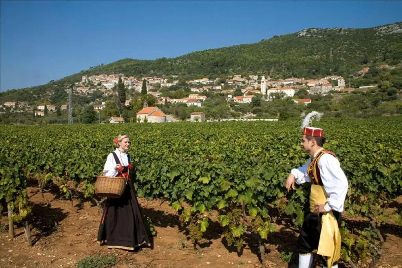 Apartments MT Residence