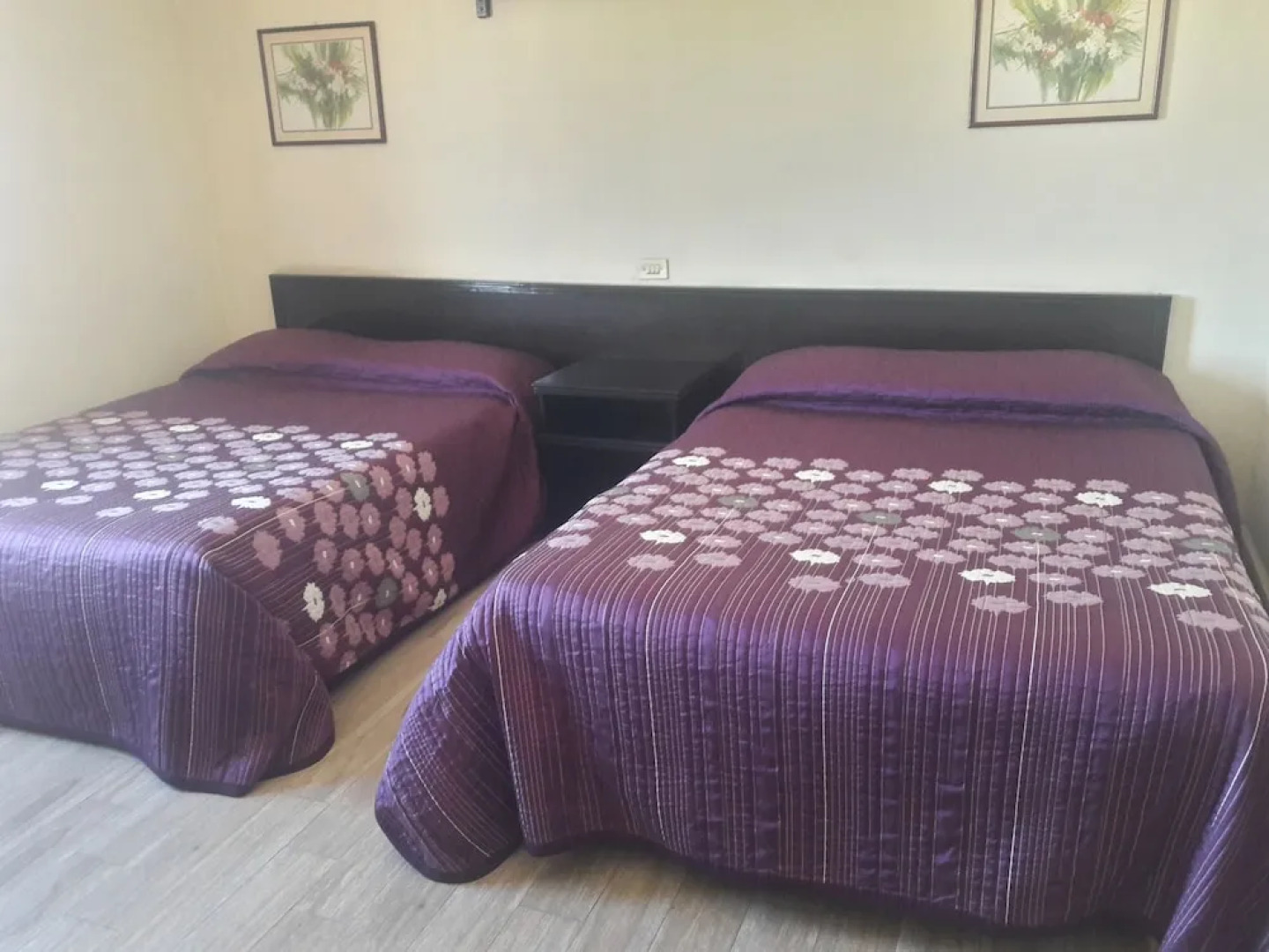 Hotel Del Mineral S.A.