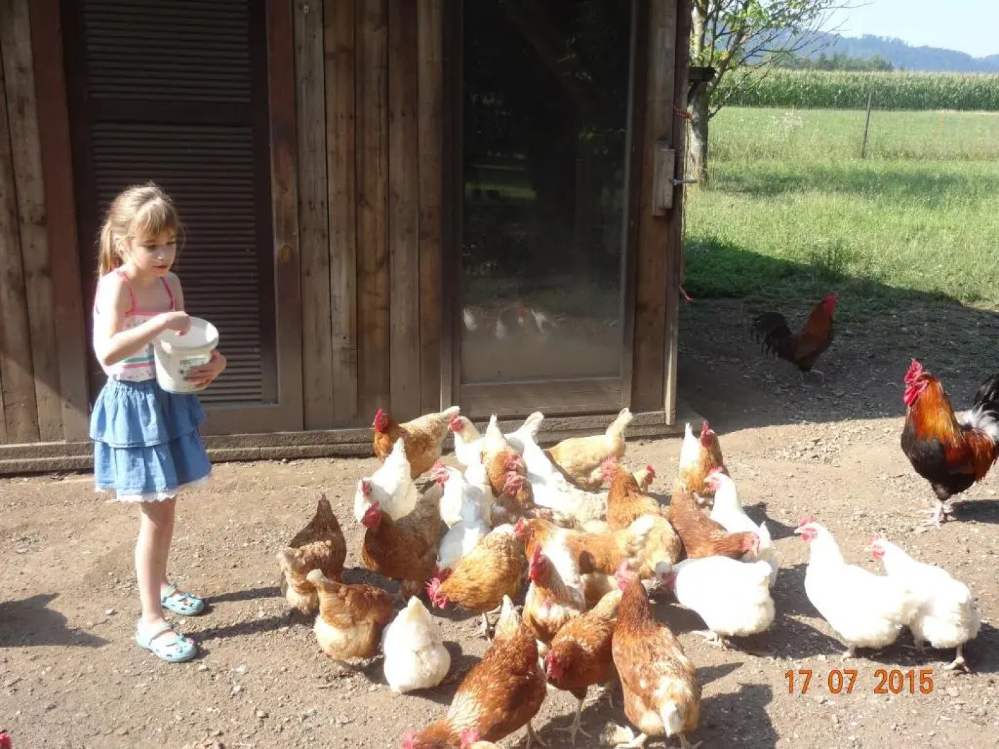 Gasthof Pension Rabl