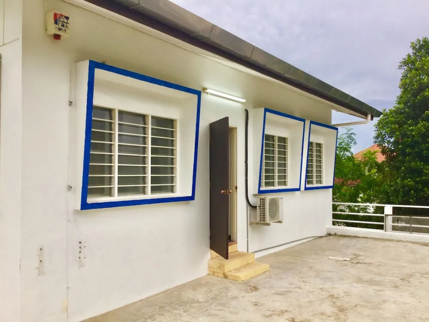 Sea Lion by the Beach