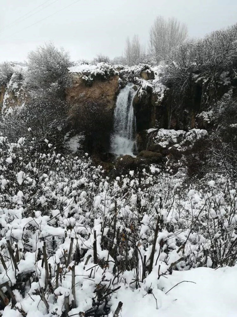 Hostal Apartamentos La Vereda