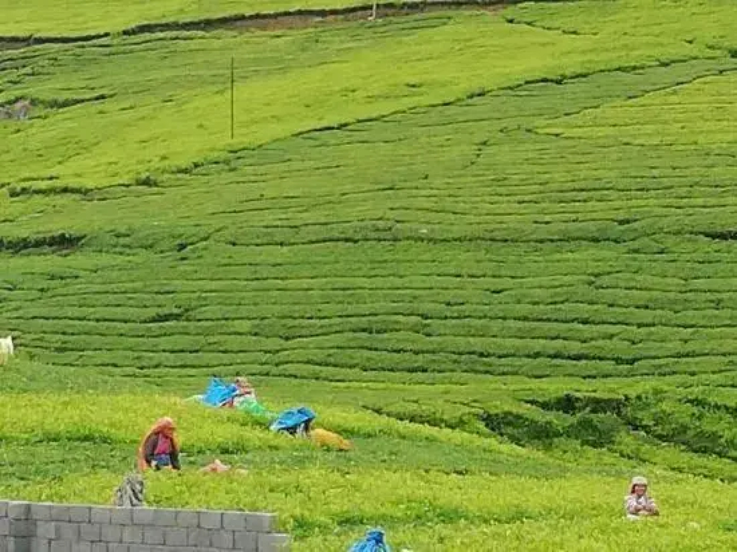 OYO 28641 Vijaya Deepa Guest House