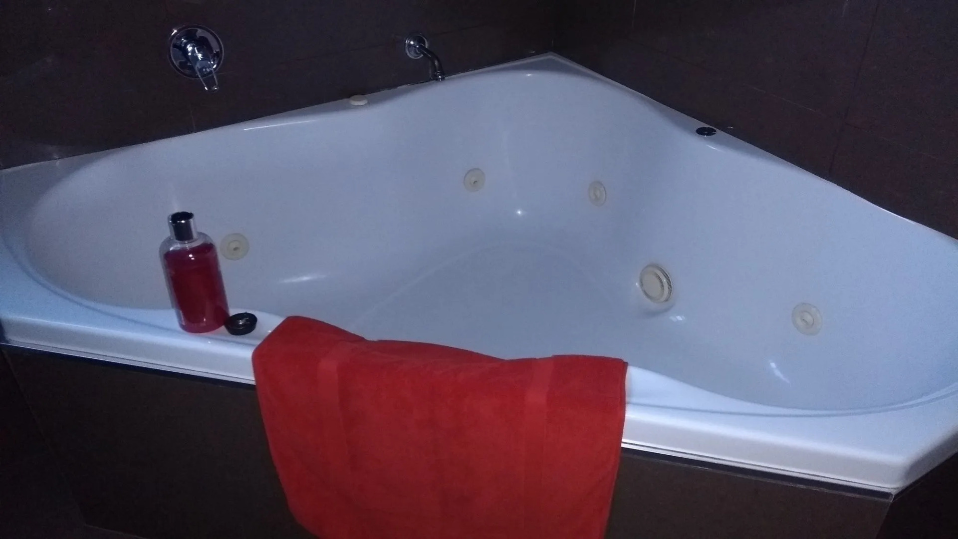 Diamond Island Resort & Penguin viewing