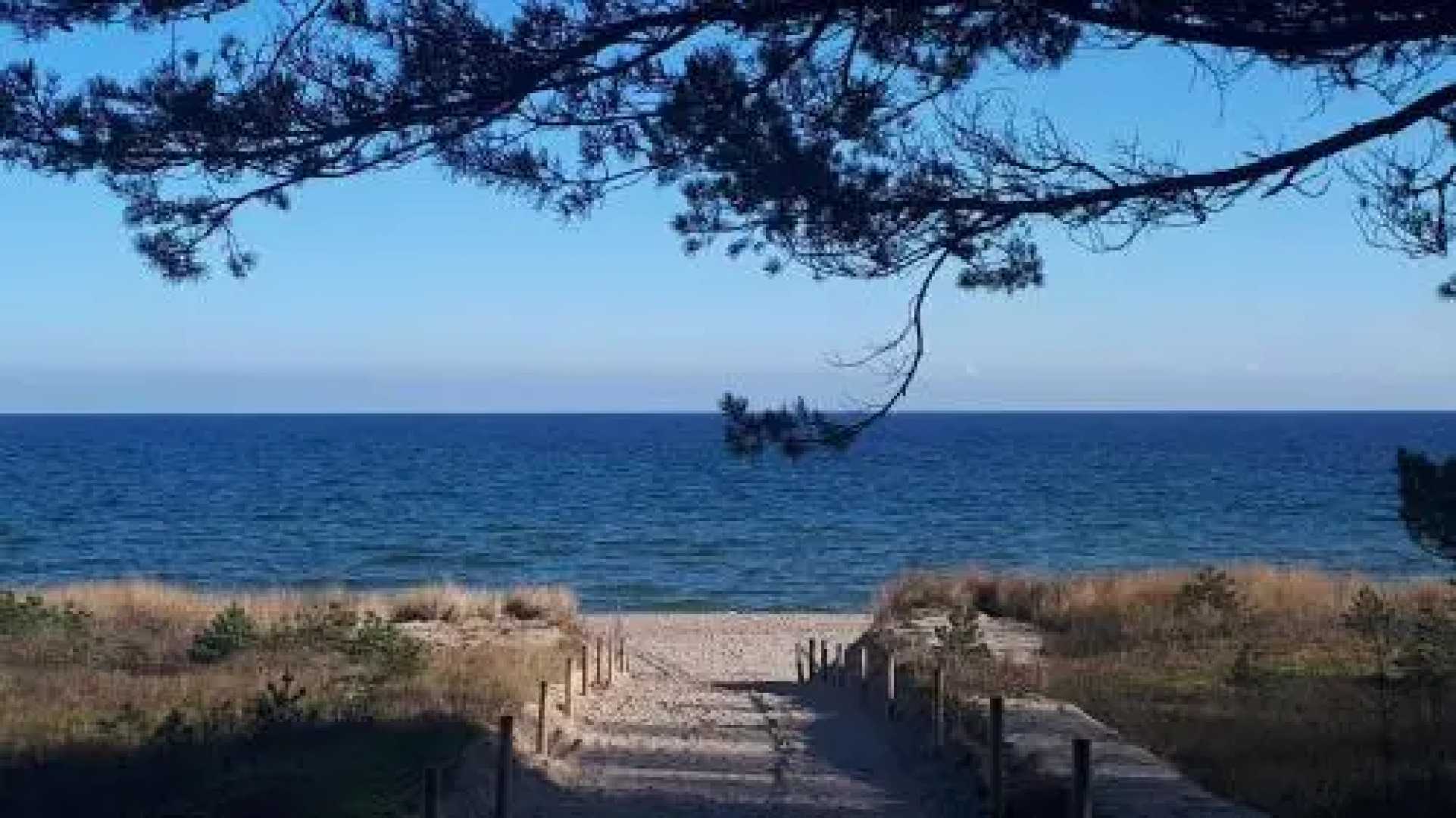 Villa Strandmuschel - FeWo 06