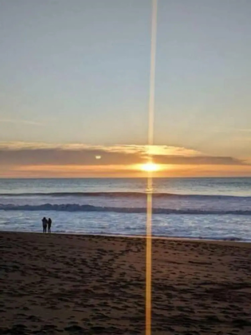 Coastal Palm Tree 2BR Retreat Ocean View