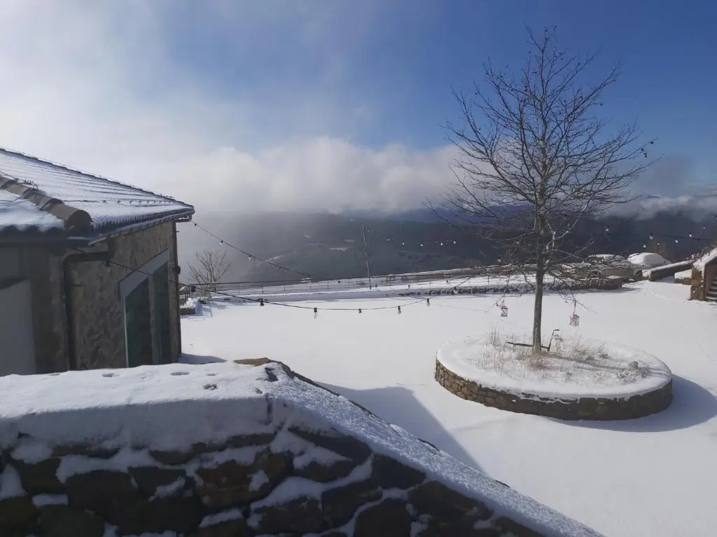 Foresta in Medias Mores