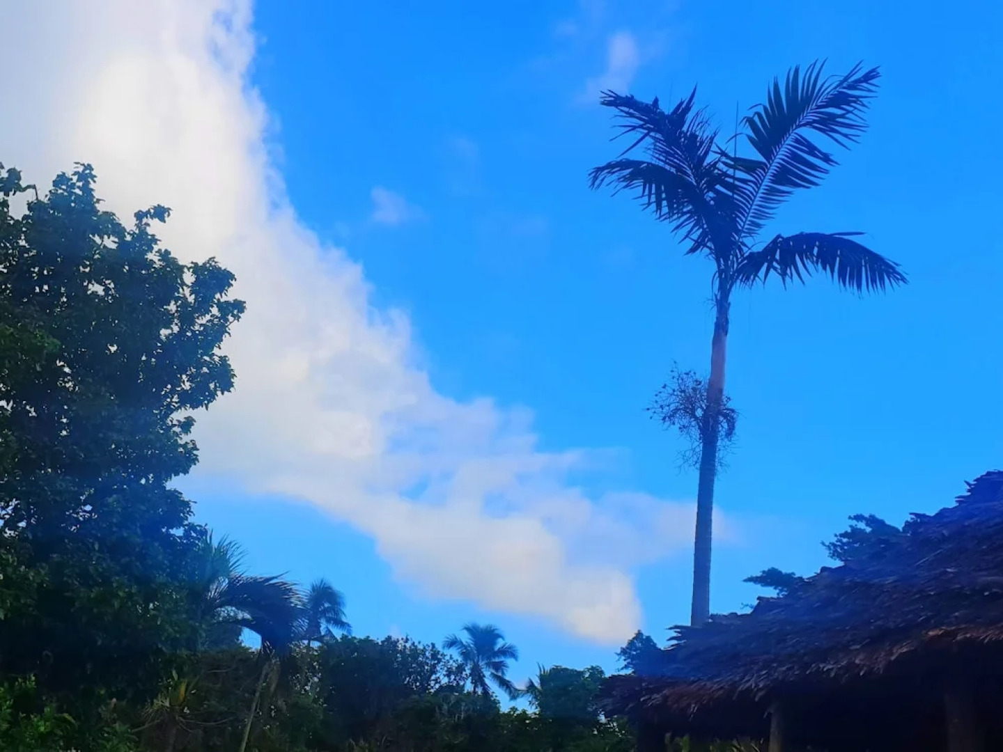 Volcano Island paradise bungalows