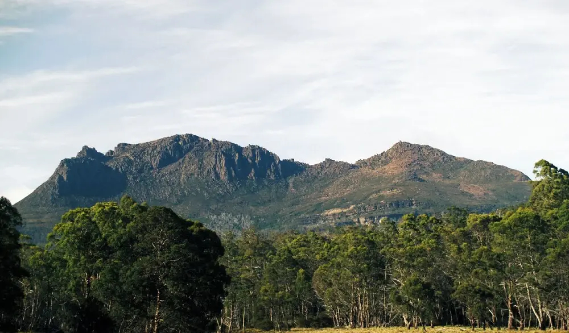 Wilder Tasmania