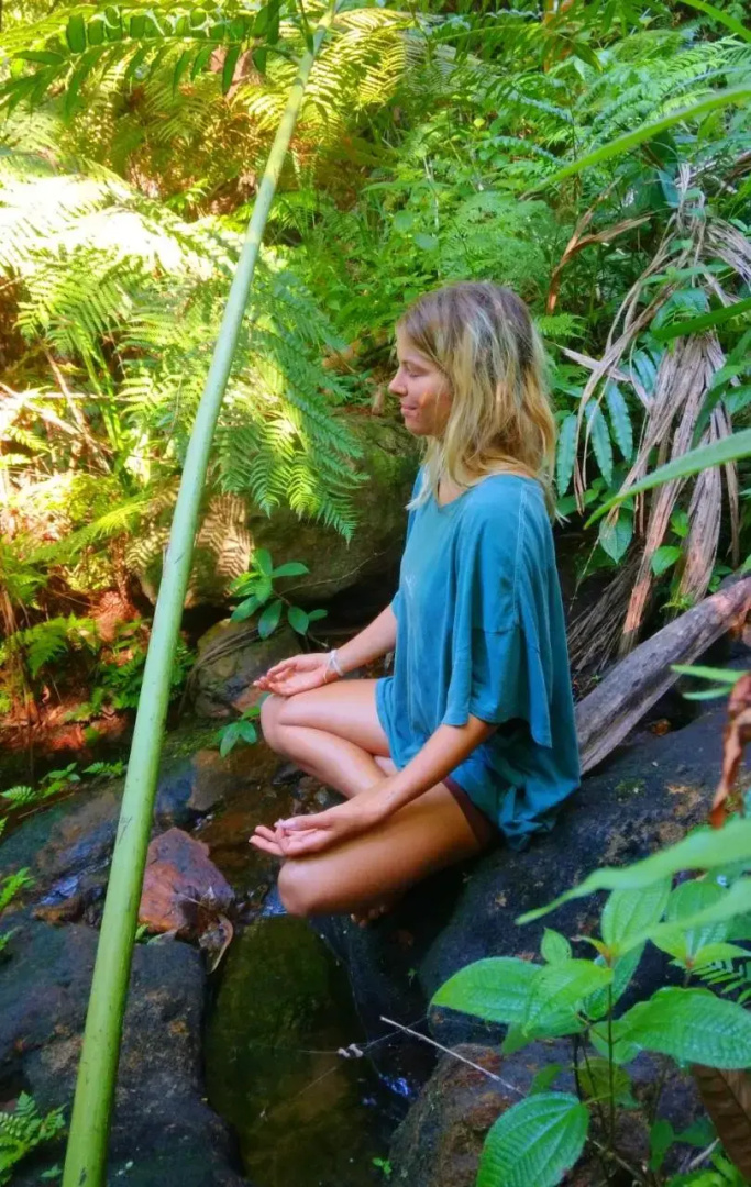 Rainforest Nature House