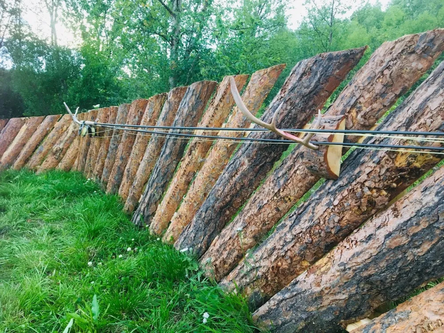 Wild Caribou Wilderness Cabin