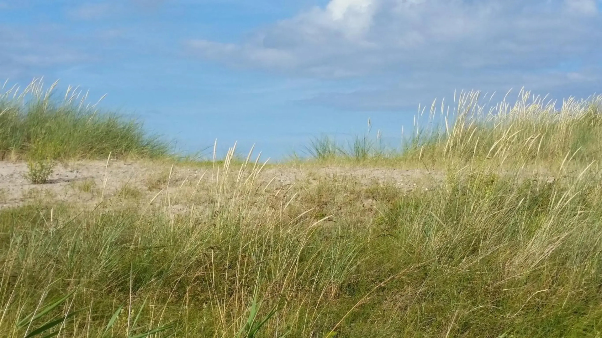 Ferienwohnung Strandgut