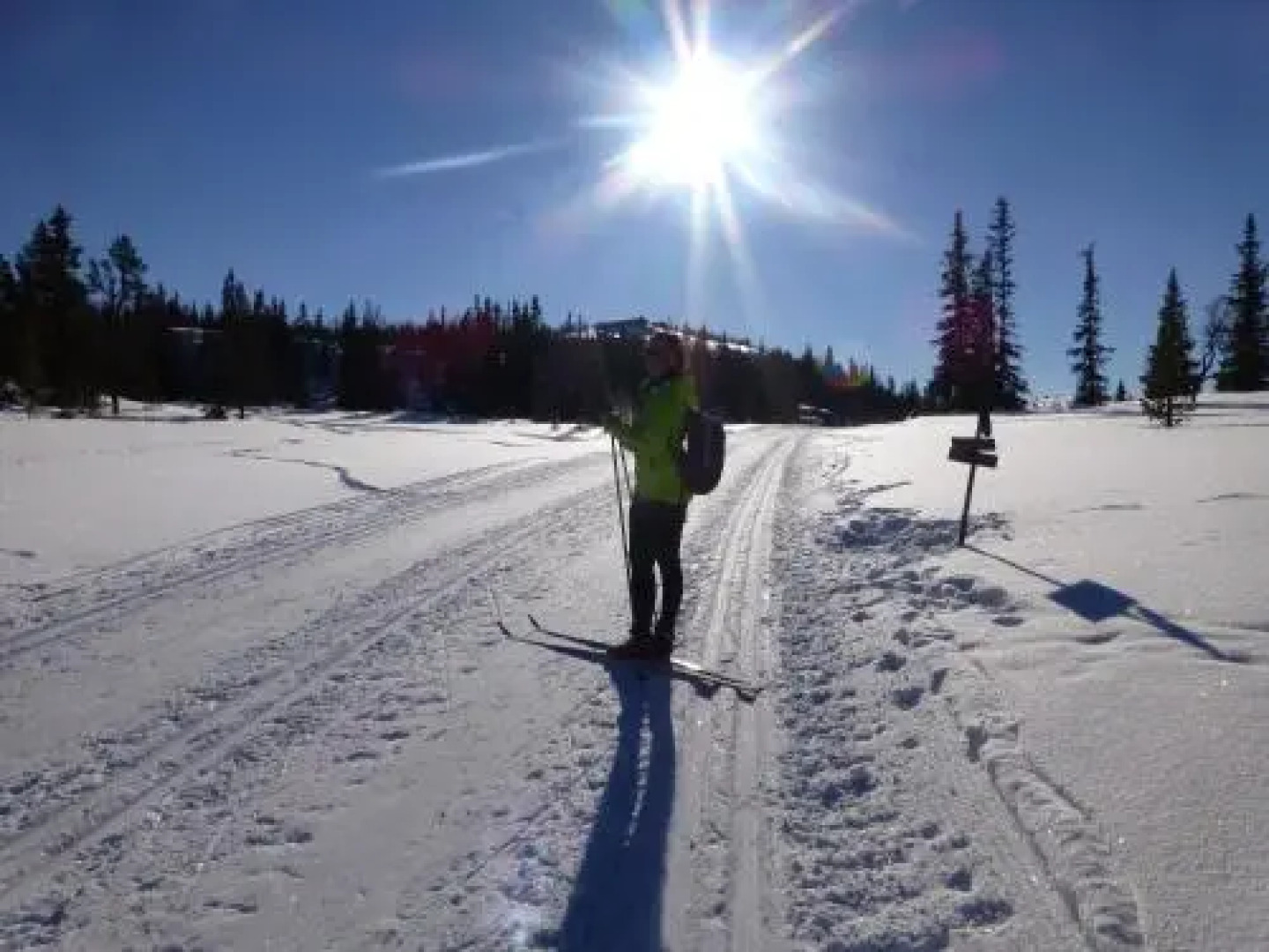 Nystølen Hyttegrend