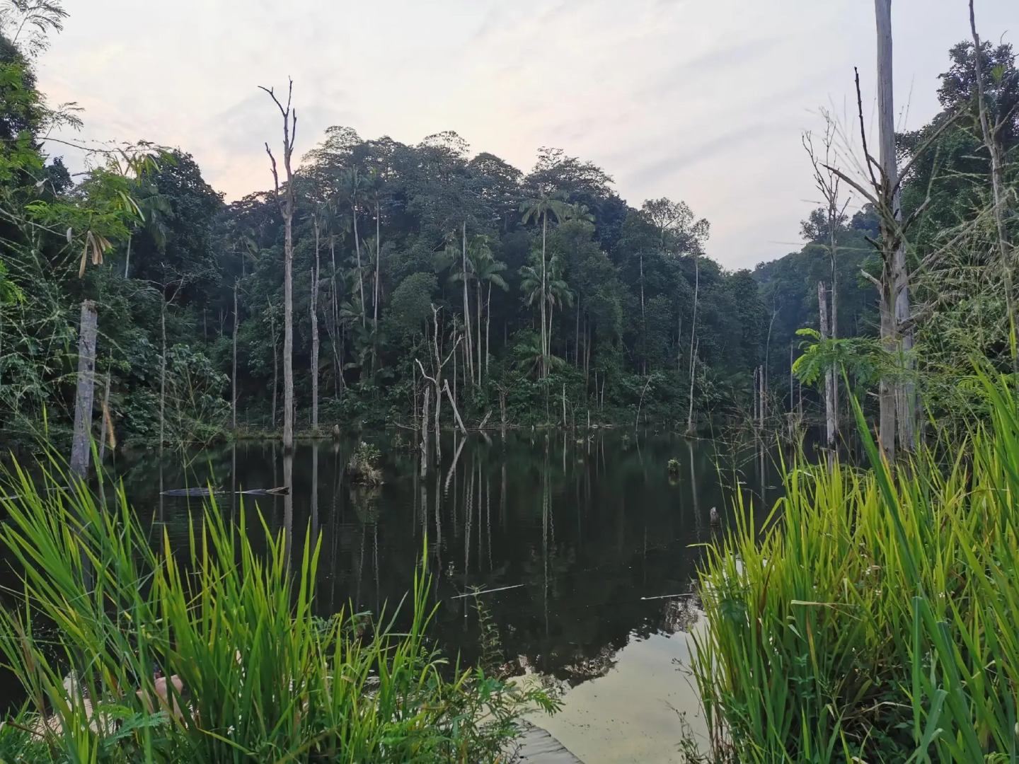 Setia Inn Suites Service Residence