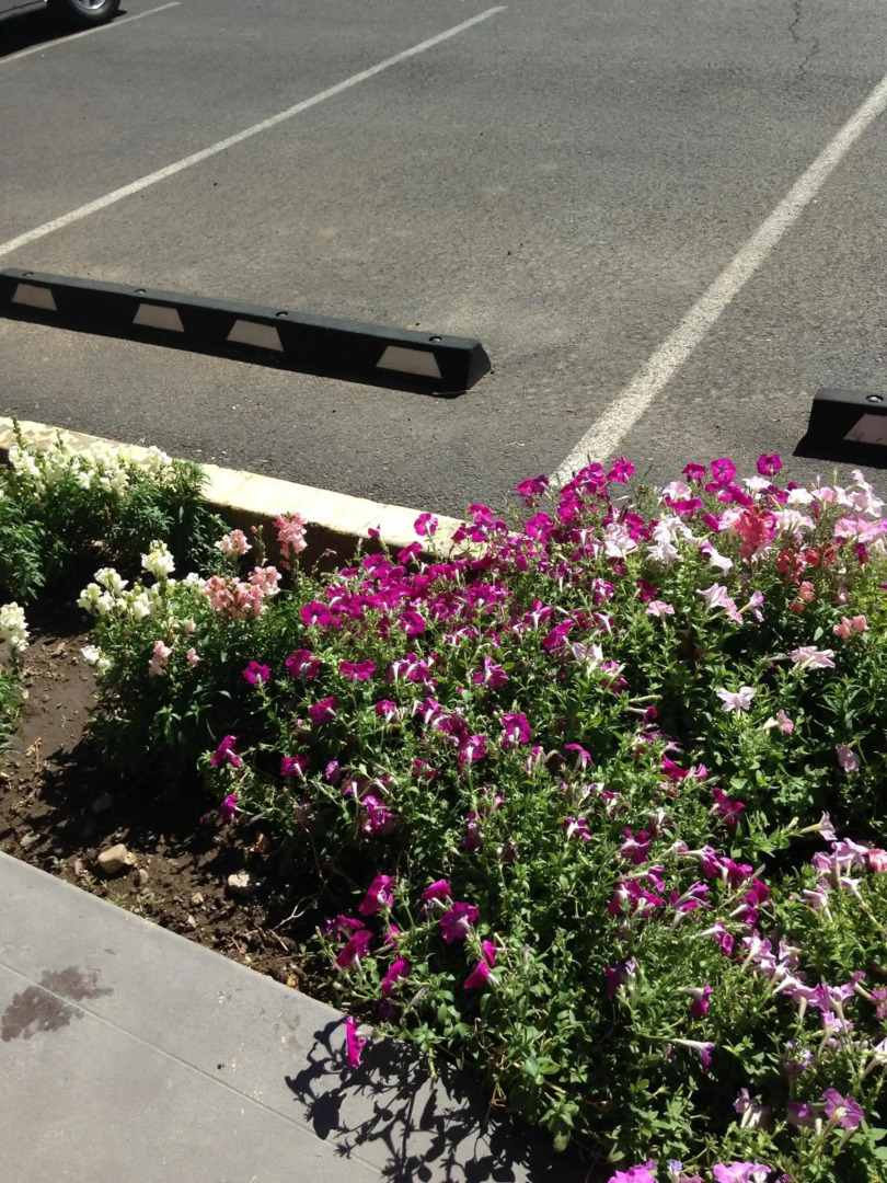 Rugged Country Lodge