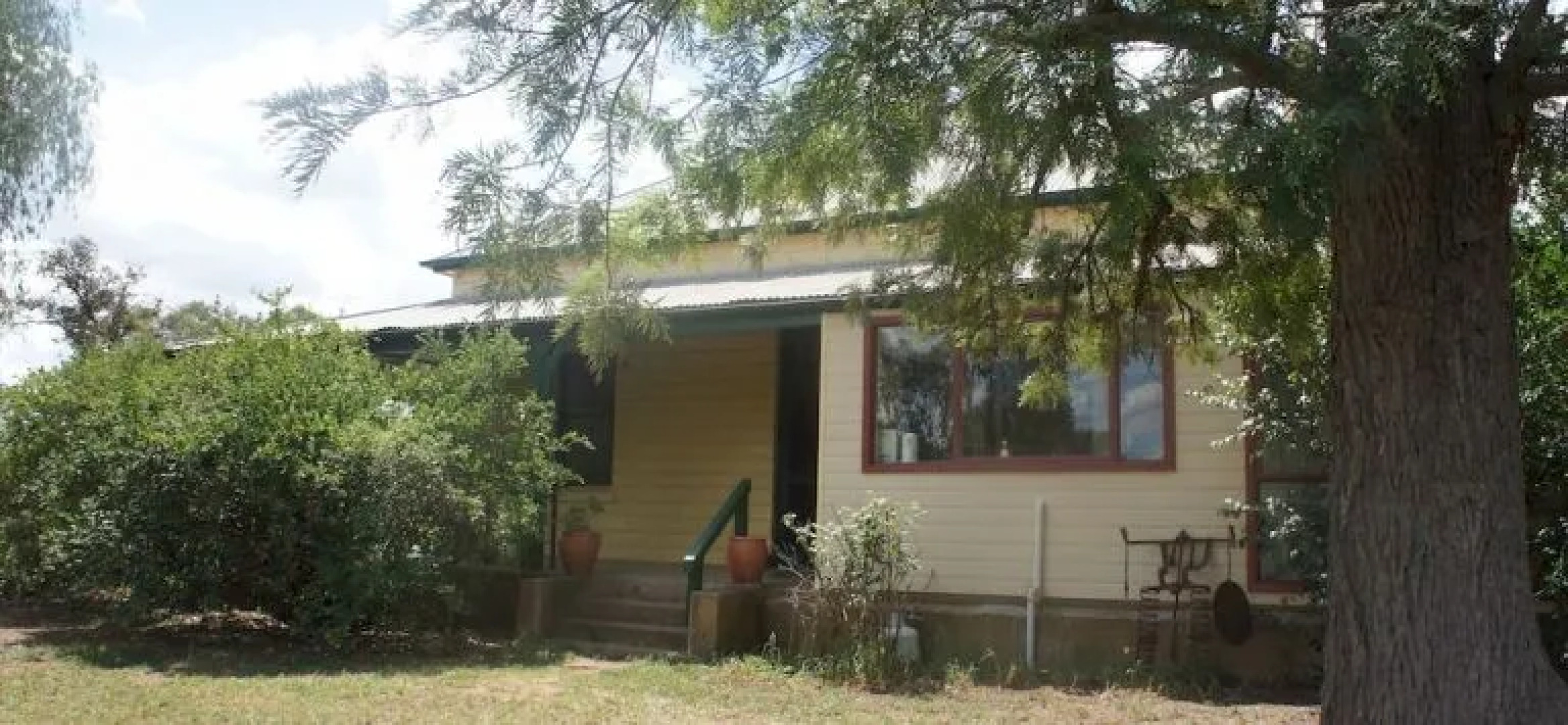 Rosnay Organic Vineyard, Olive Grove, Figs and Farmstay