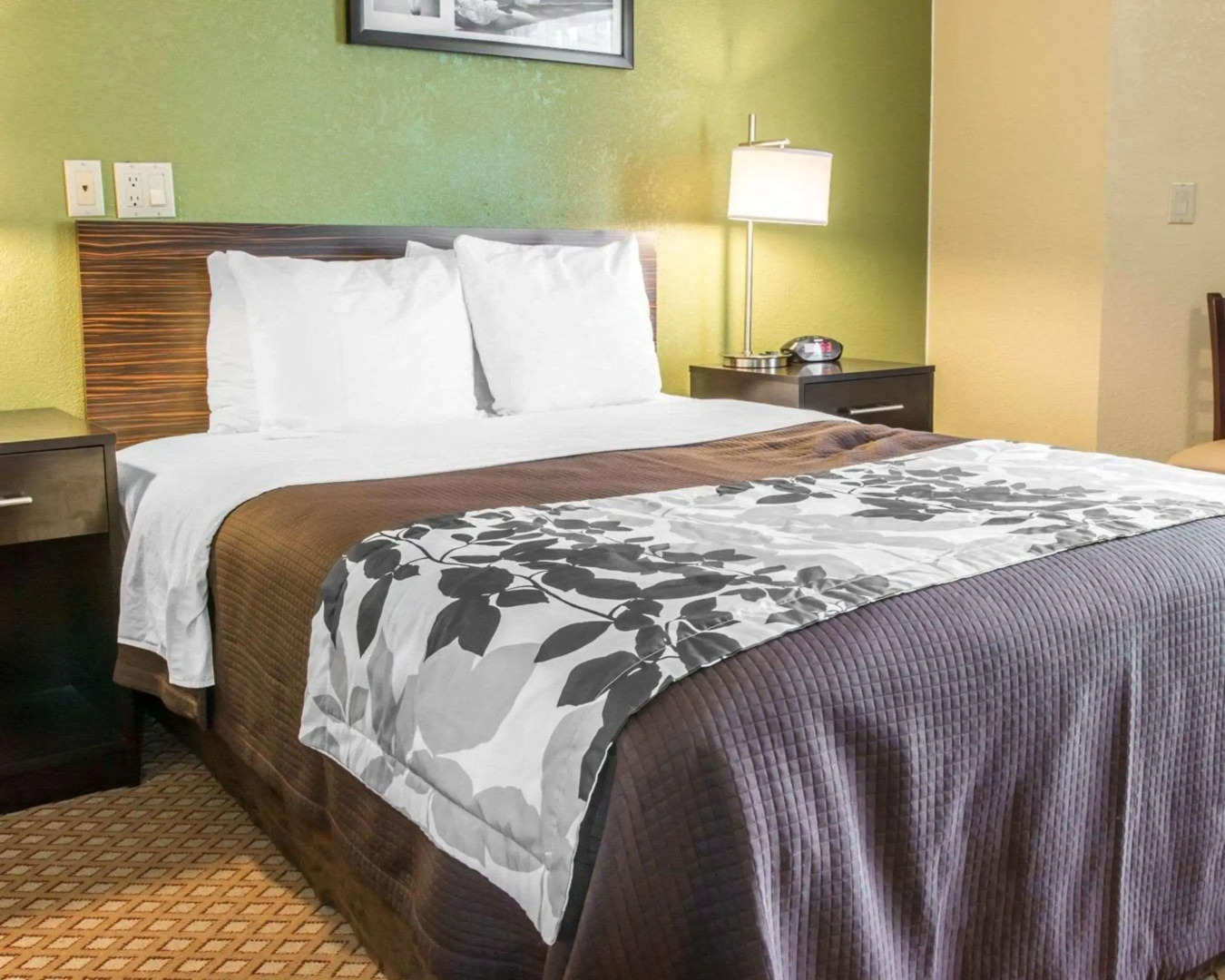 Sleep Inn & Suites Grand Rapids Southeast - Kentwood