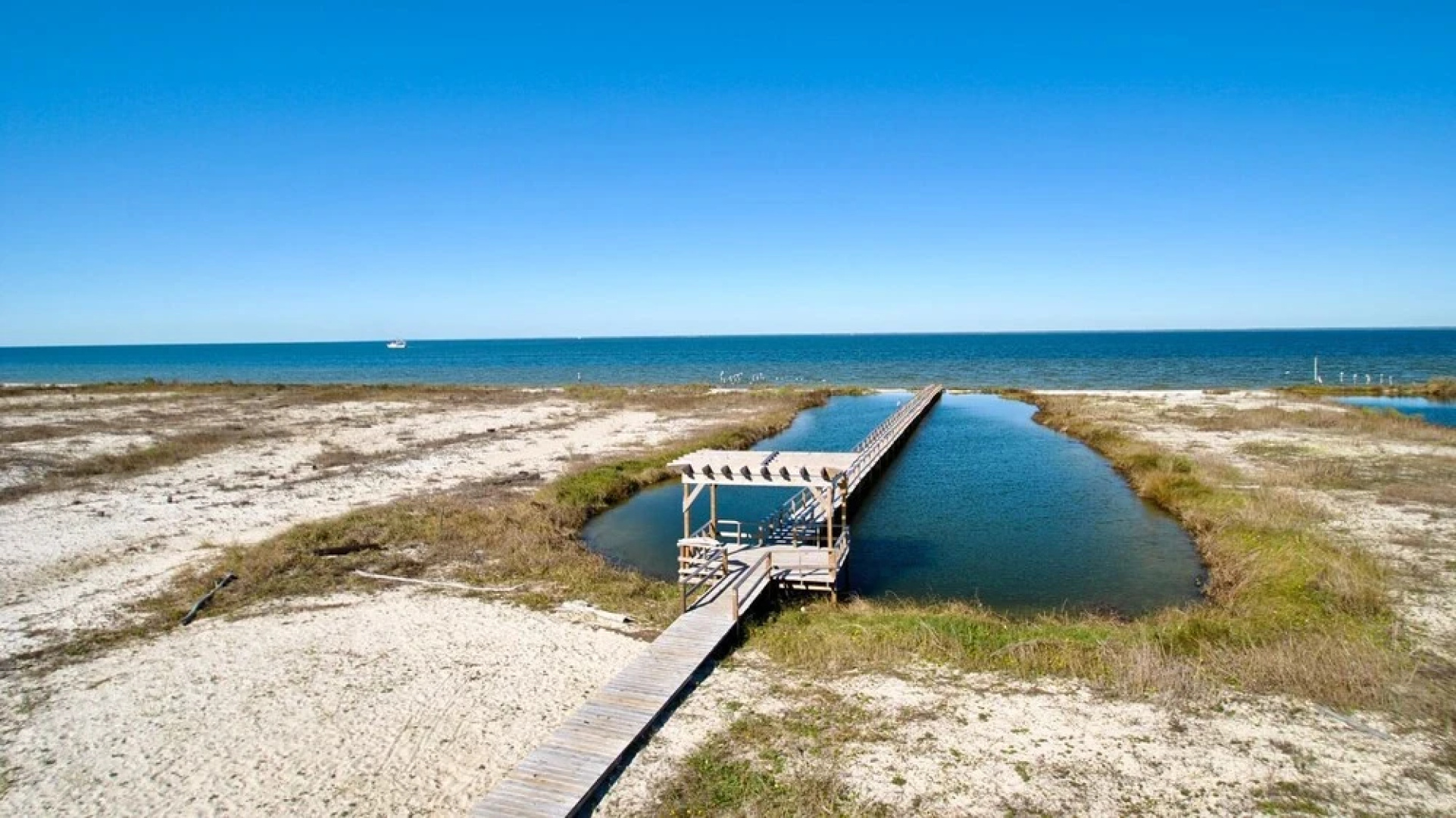 Tidal Wave - 2636 Bienville