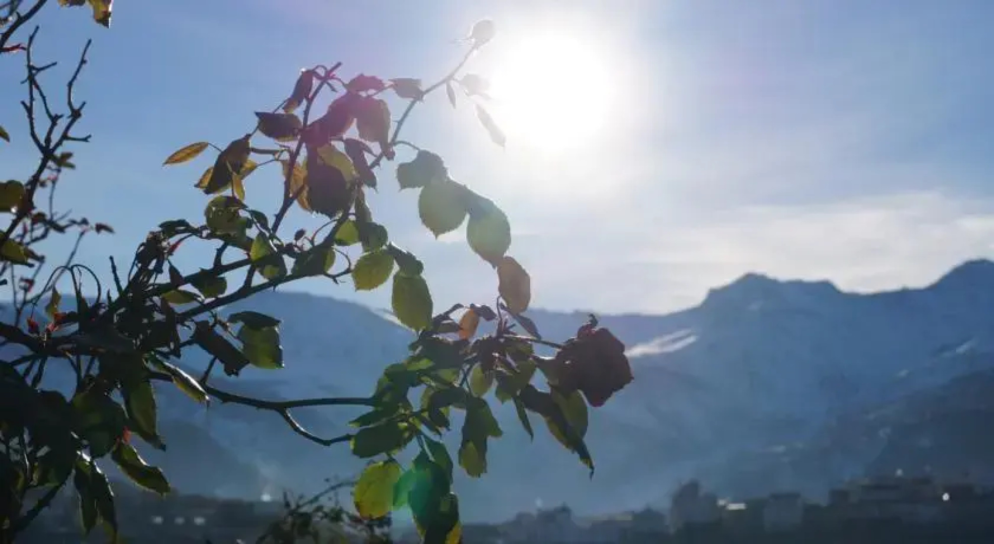 Casa rural 3. Los castañuelos