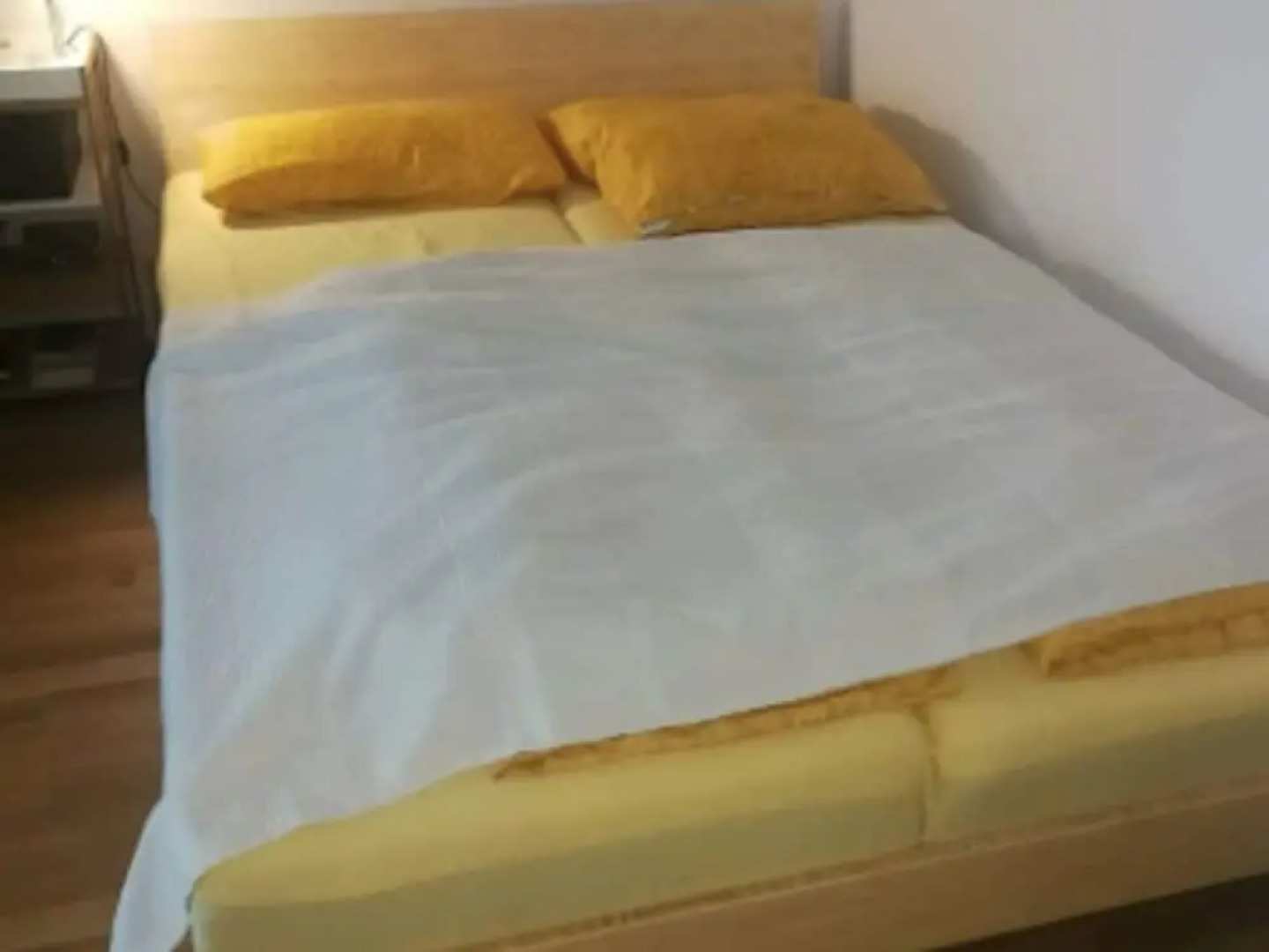 Pleasant Holiday Home in Herzogenaurach near River