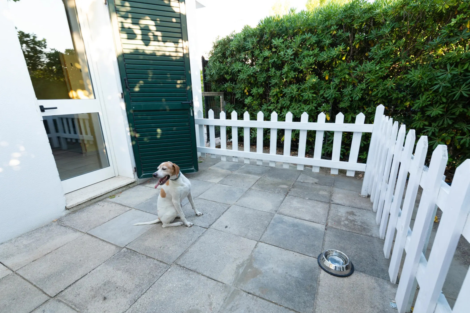 Club Del Sole Le Mimose Family Resort