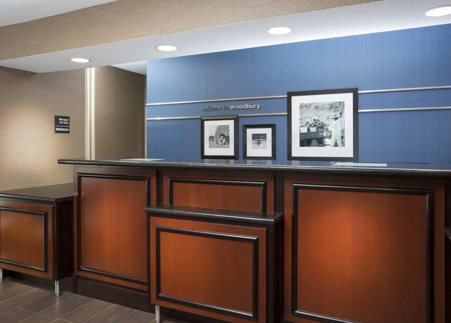 Hampton Inn Minneapolis/St. Paul-Woodbury