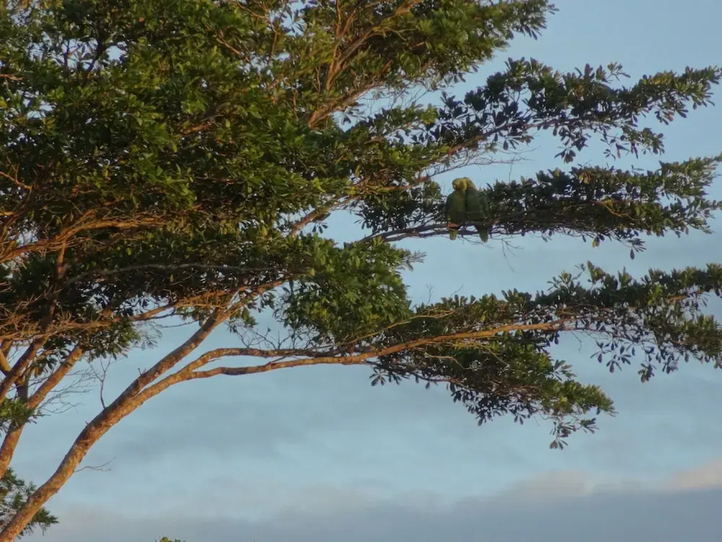 Hotel Finca L’Étoile Celeste