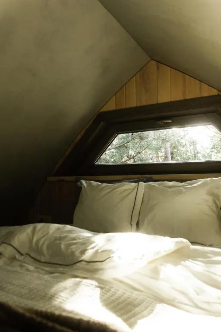 Jungle SPA bungalows