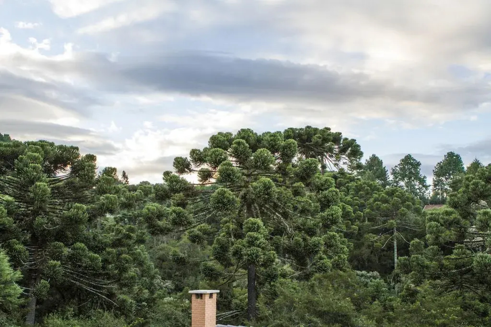 Pousada Apple House - Campos Do Jordão