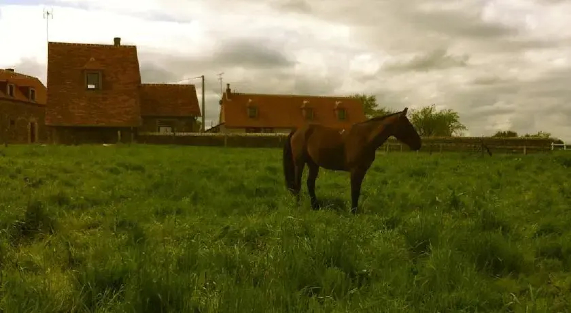 Domaine de Torrière