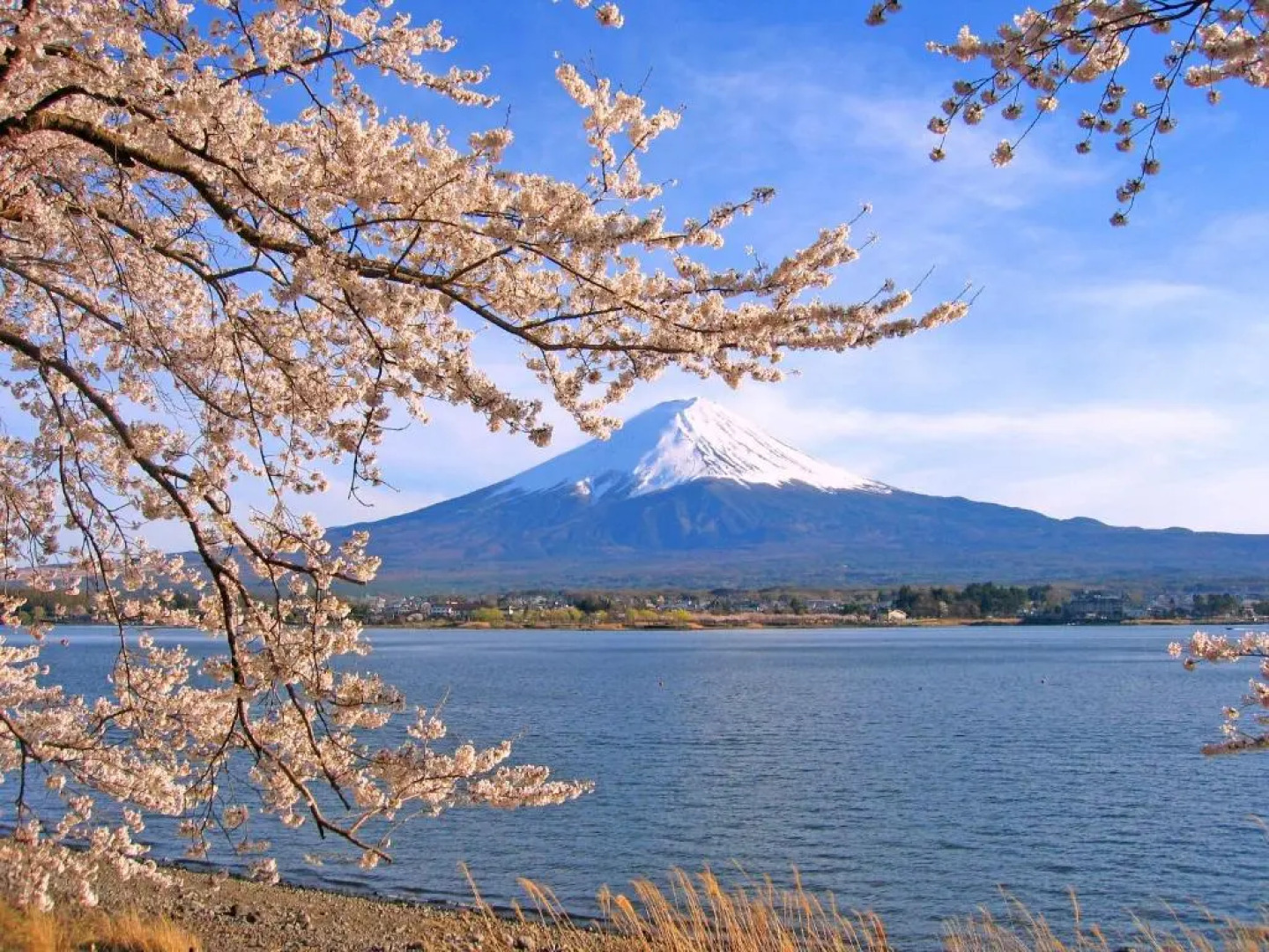 Kawaguchiko Urban Resort Villa