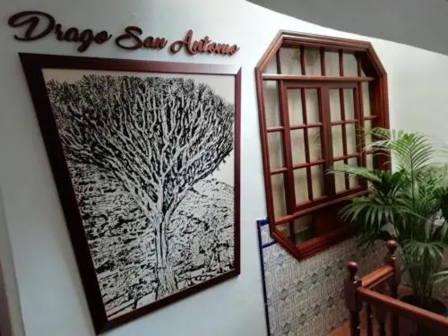 Hotel Drago San Antonio