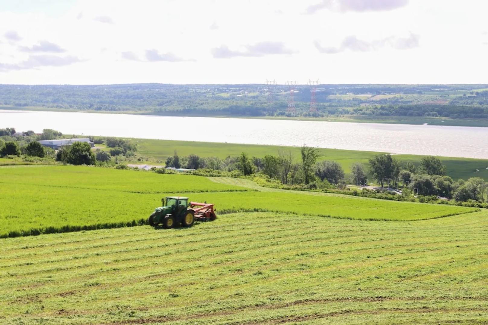 La Princesse des Champs