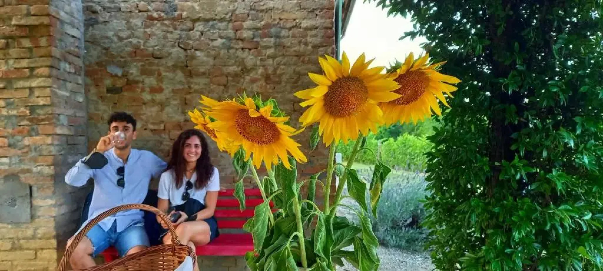 Bed & Tours Dimora di campagna