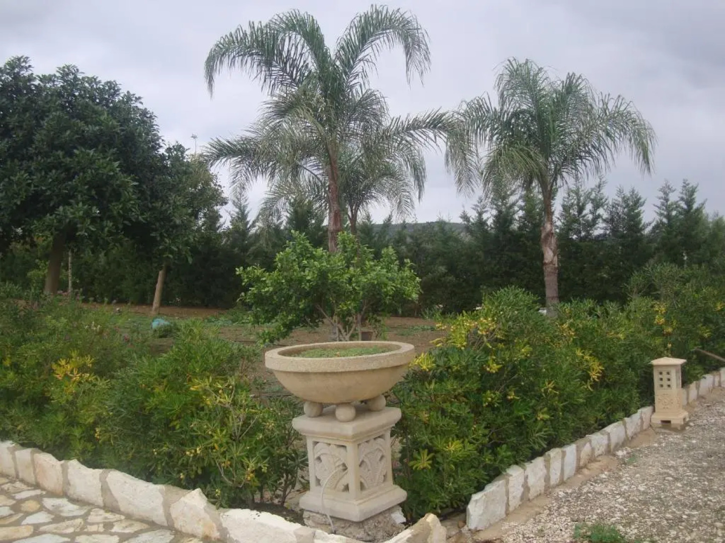 Villa Delle Palme Delfina