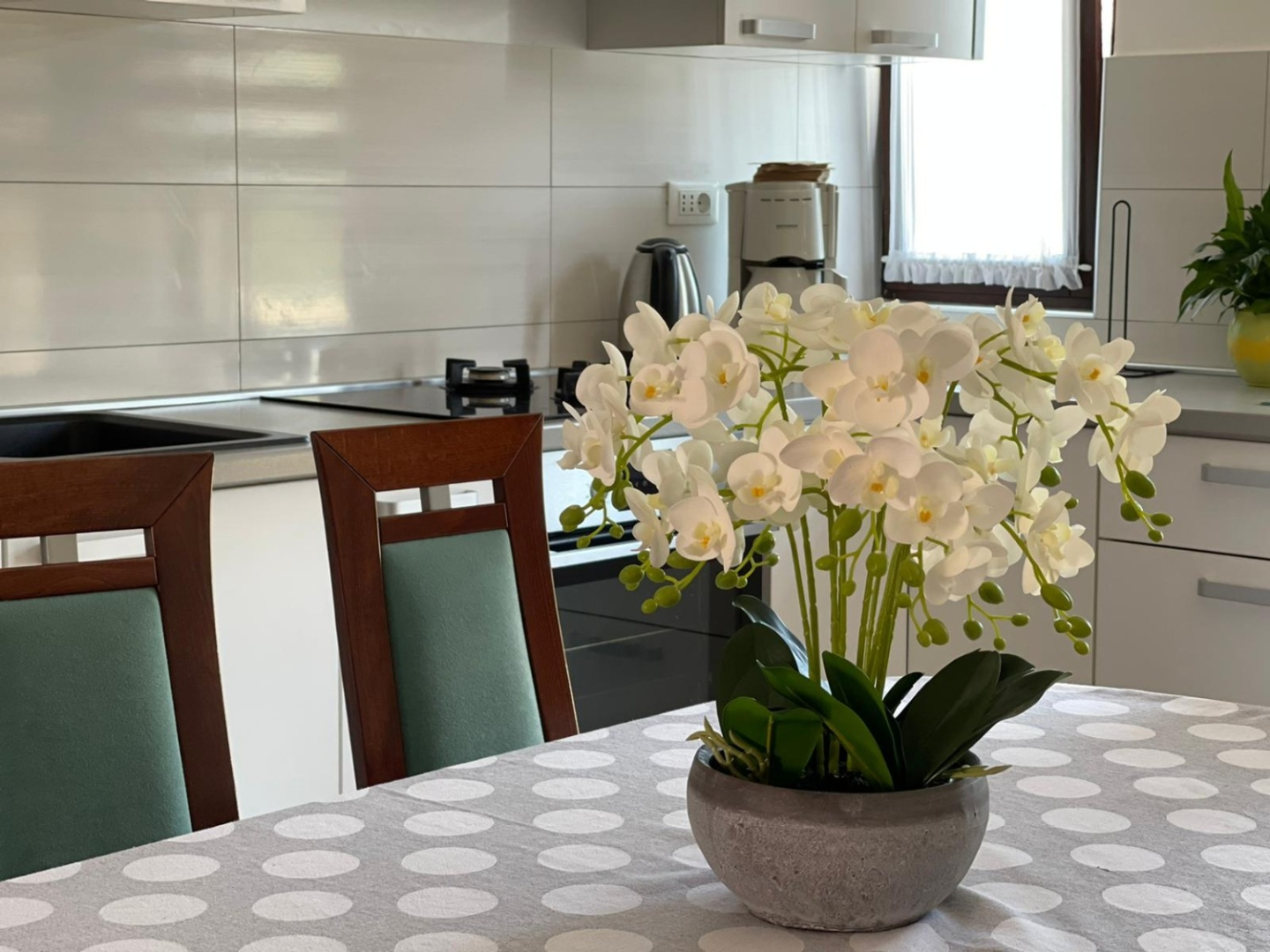 Apartment Bilja - 20 M from the sea A4 Rogoznica, Riviera Sibenik