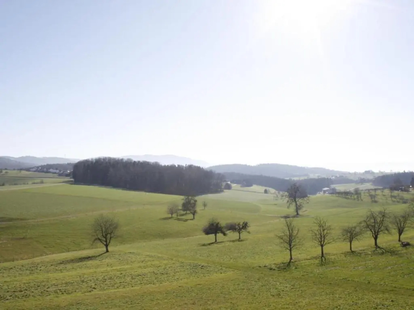 Ferienwohnung Weitblick