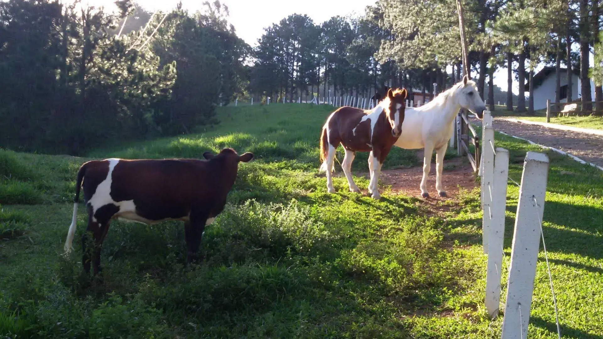 Refúgio Serra Negra
