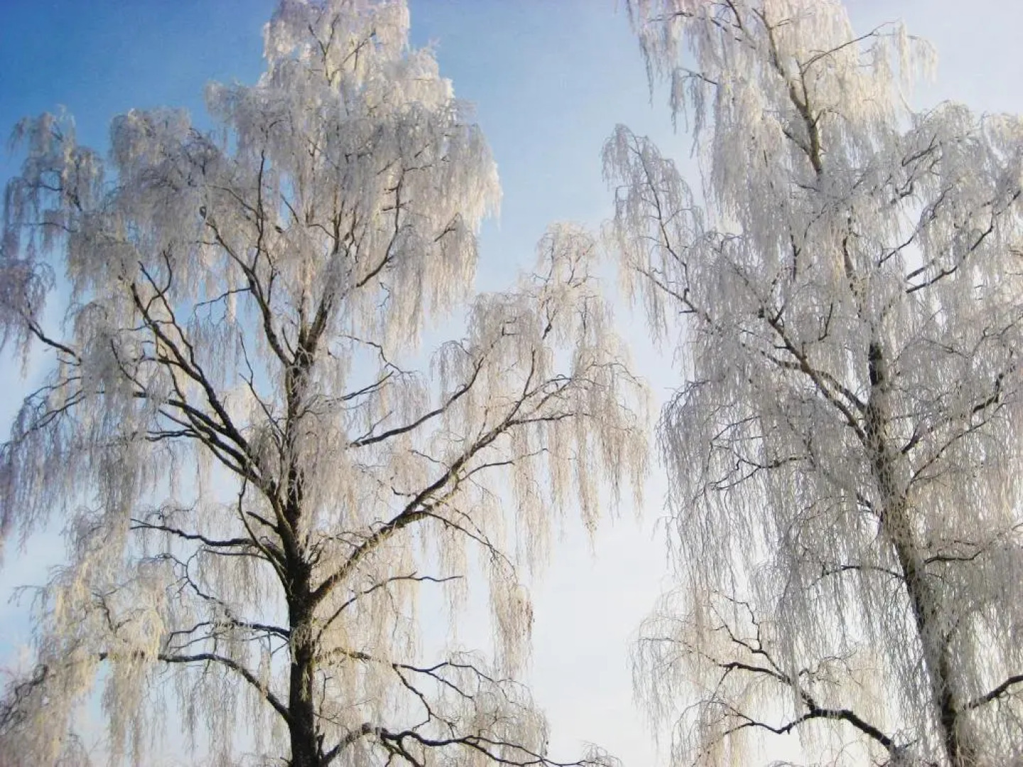 Woodstock B & B Studios