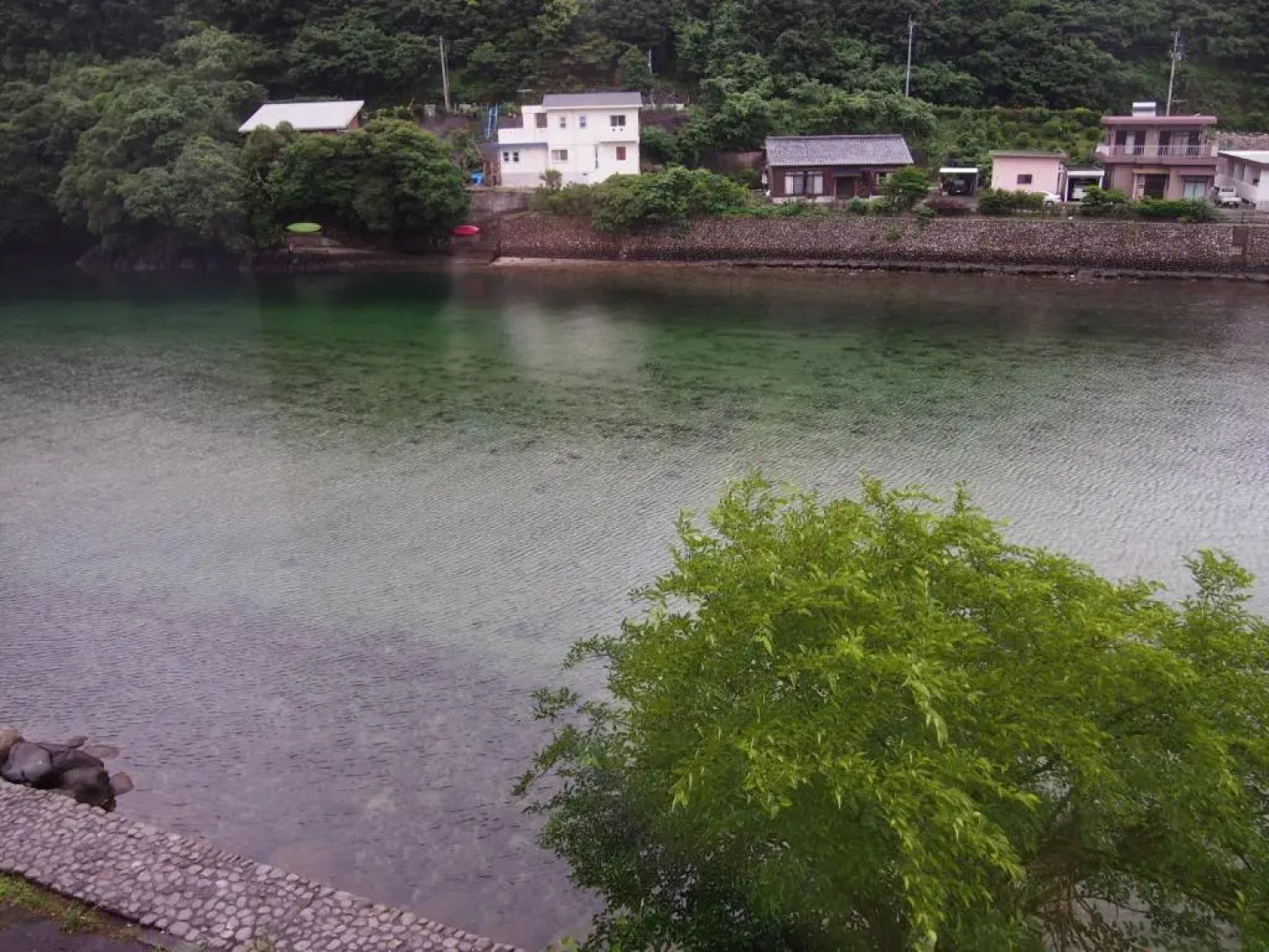 Tashiro Annex