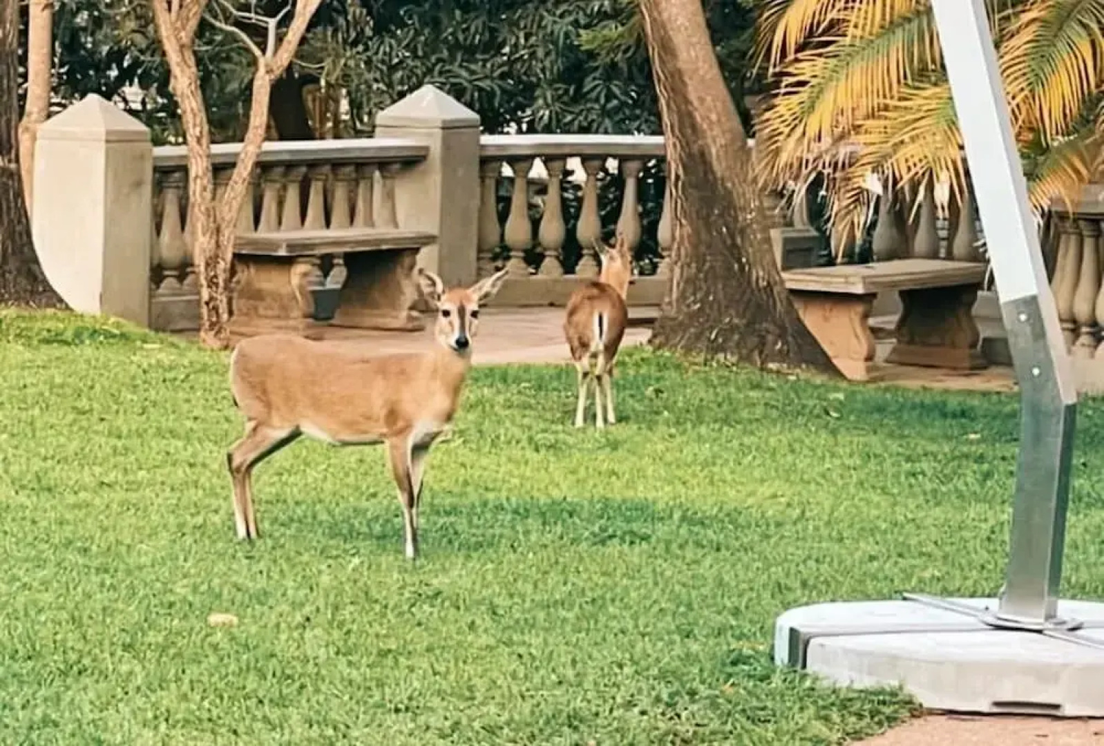 The Leslie - Bed & Breakfast