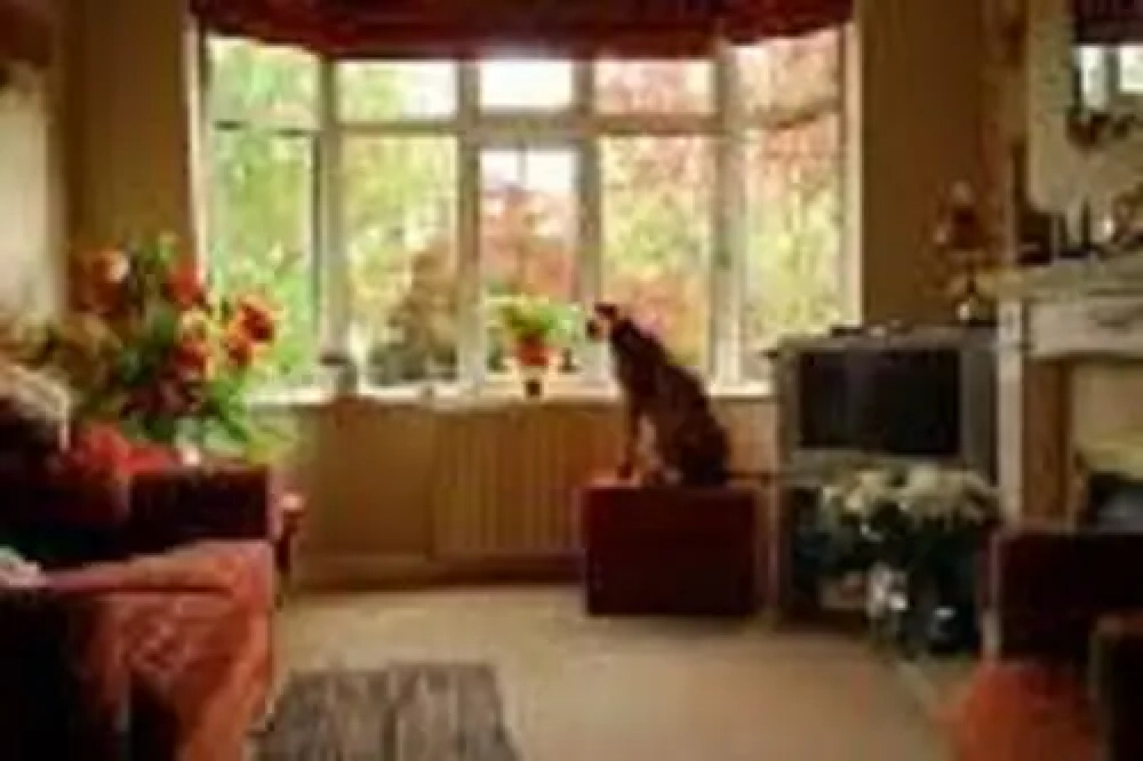 The Yellow House Bed & Breakfast